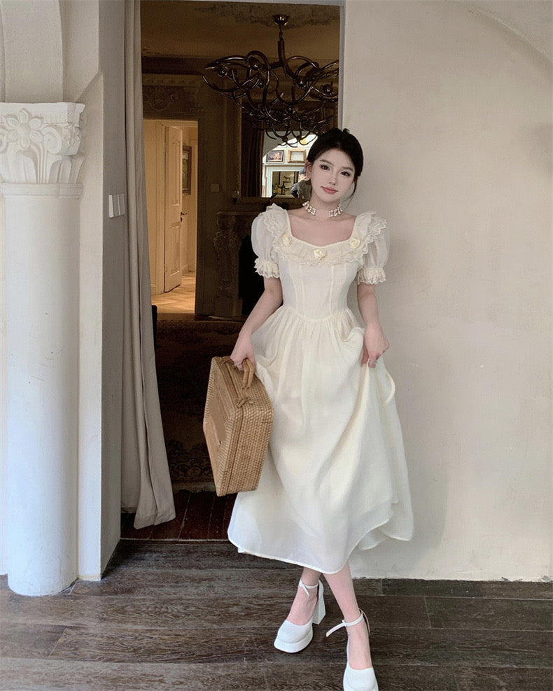 Lasira Light Academia Dress