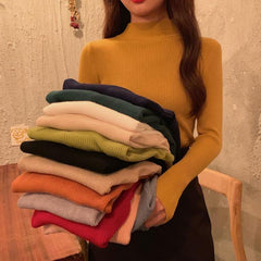 Basic Solid Colors Turtle Neck Ribbed Blouse