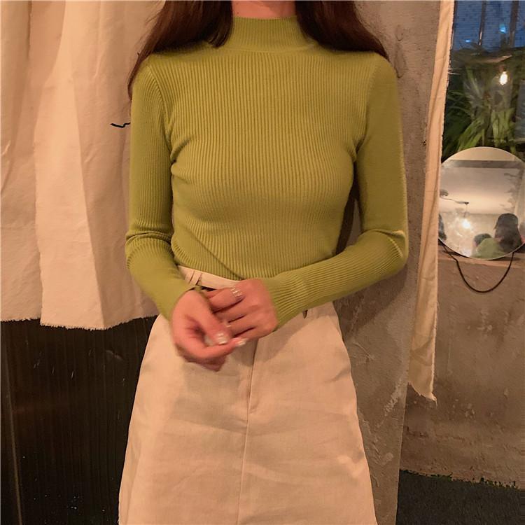 Basic Solid Colors Turtle Neck Ribbed Blouse