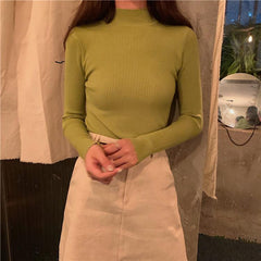 Basic Solid Colors Turtle Neck Ribbed Blouse