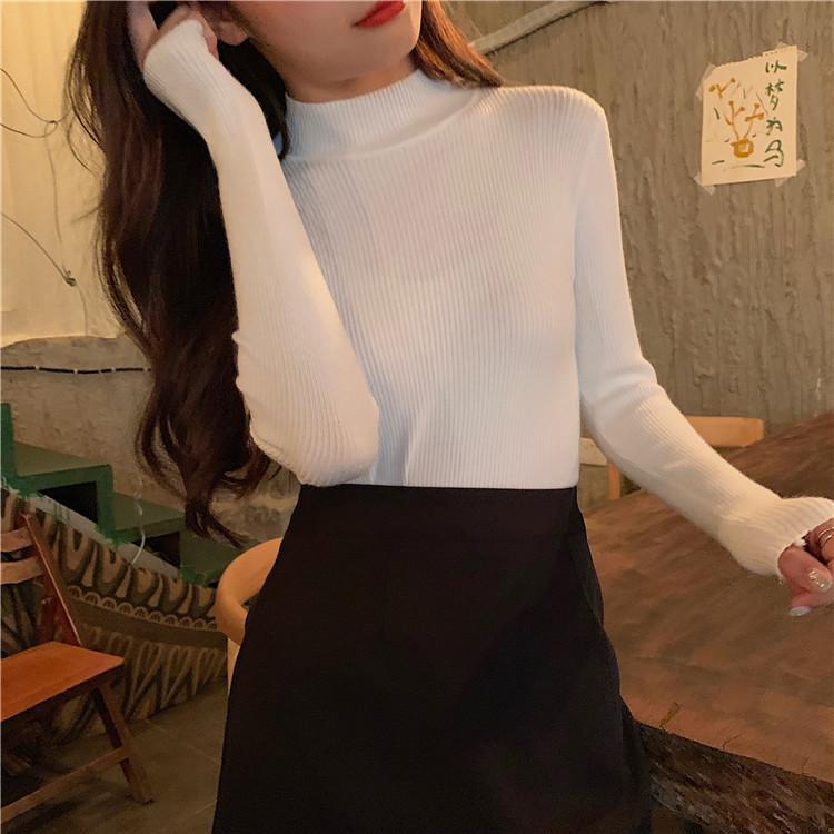 Basic Solid Colors Turtle Neck Ribbed Blouse