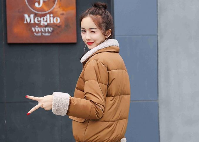 Padded Fluffy Collar Basic Pastel Colors Warm Coat Jacket