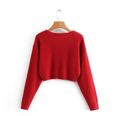 Red Beige Black White Knit Cropped Sweater