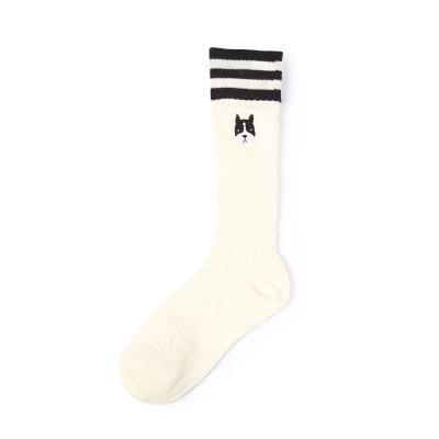 Sale Avocado Embroidery Striped Socks