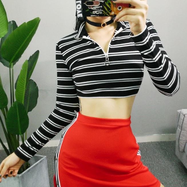 Stripes Front High Neck Zipper Metallic Ring Crop Sweater